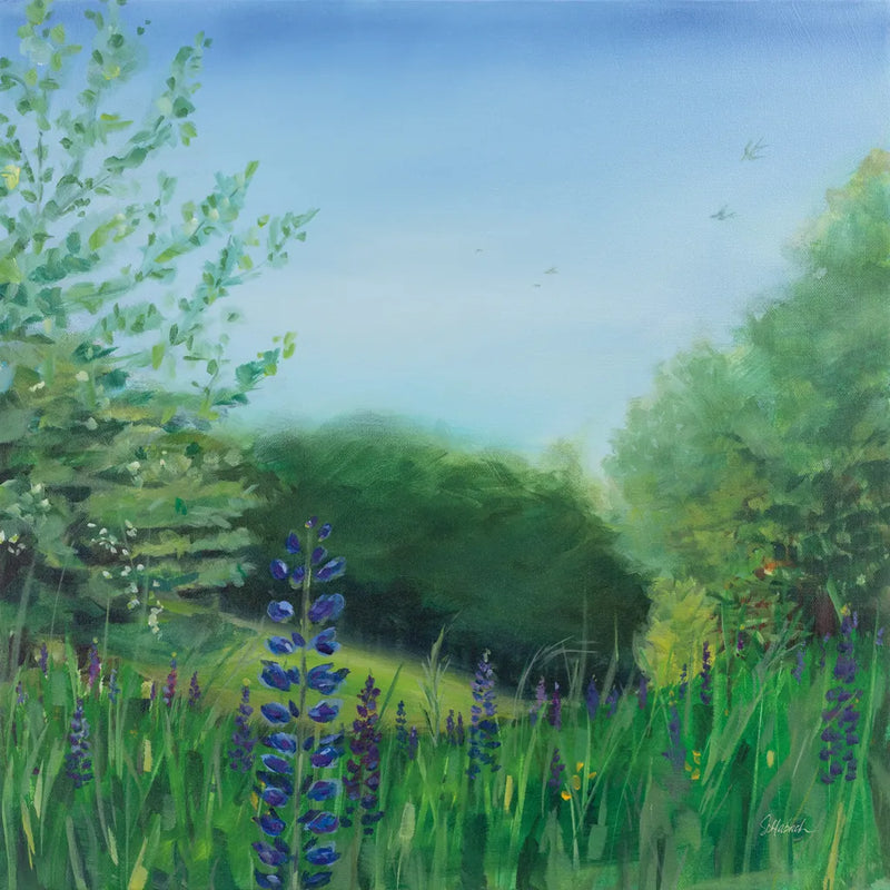 Charlottes Lupine Field by Sue Schlabach. SKU 91526a. Archival Giclee Fine art print for wall decor.