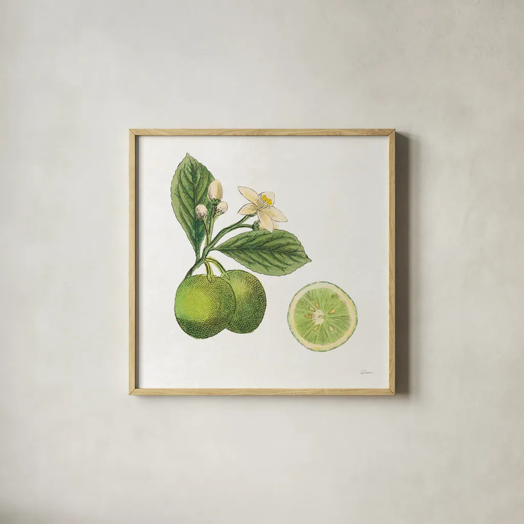 Classic Citrus III by Sue Schlabach. Shown in a natural wood glass frame for a timeless modern aesthetic. Available as an archival giclee rolled canvas, fine art paper, or poster print. SKU 32041a.