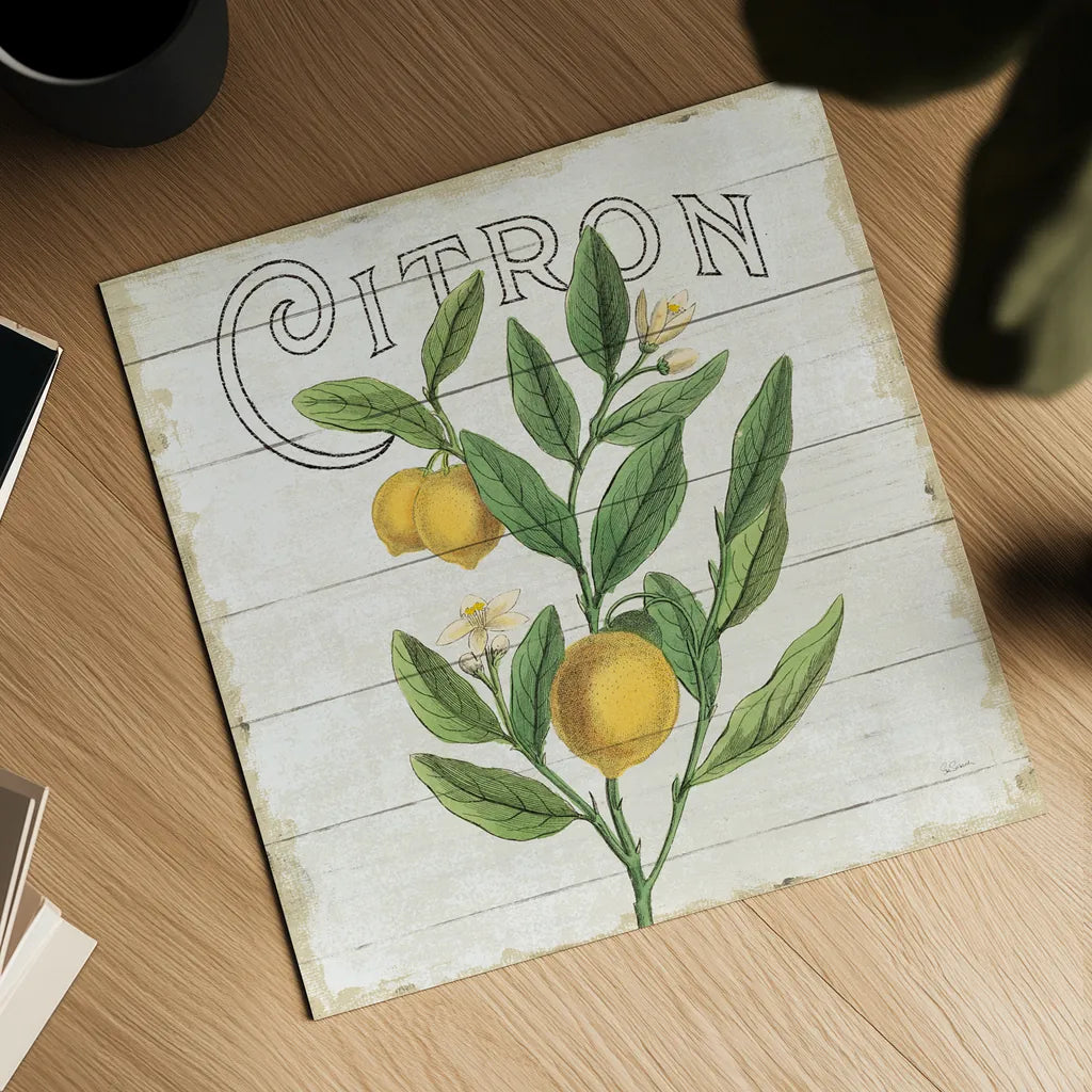 Classic Citrus V Shiplap Sq by Sue Schlabach. Shown as a detailed flat fine art print, highlighting archival giclee quality. Available as an archival giclee rolled canvas, fine art paper, or poster print. SKU 71112a.