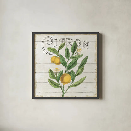 Classic Citrus V Shiplap Sq by Sue Schlabach. Shown in a sleek black glass frame for a contemporary gallery look. Available as an archival giclee rolled canvas, fine art paper, or poster print. SKU 71112a.