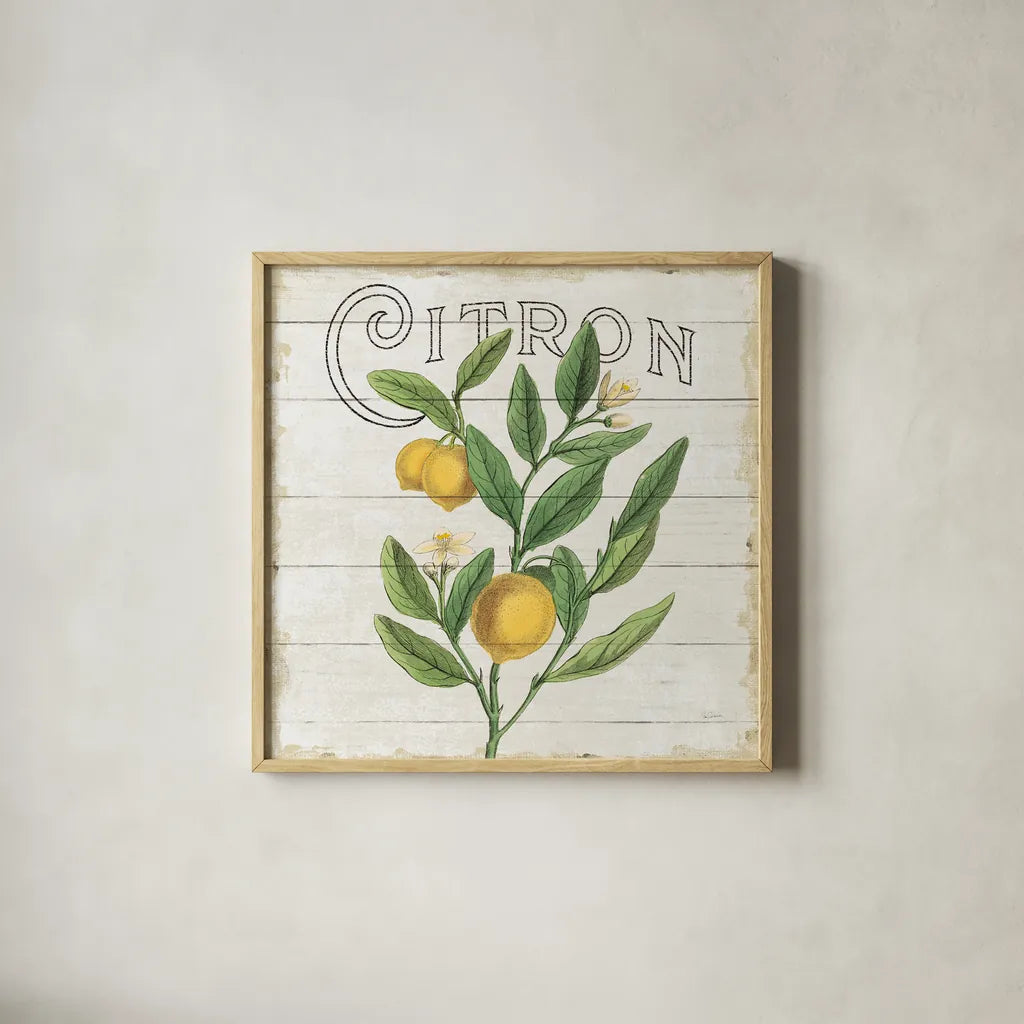 Classic Citrus V Shiplap Sq by Sue Schlabach. Shown in a natural wood glass frame for a timeless modern aesthetic. Available as an archival giclee rolled canvas, fine art paper, or poster print. SKU 71112a.