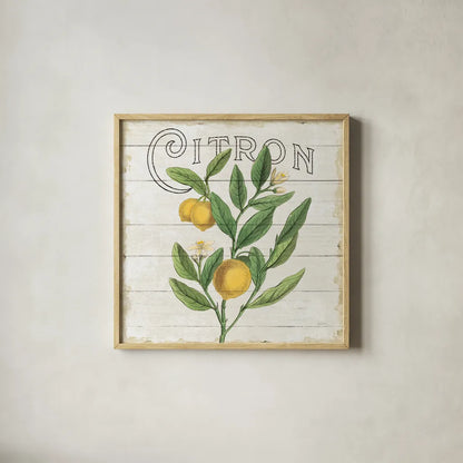 Classic Citrus V Shiplap Sq by Sue Schlabach. Shown in a natural wood glass frame for a timeless modern aesthetic. Available as an archival giclee rolled canvas, fine art paper, or poster print. SKU 71112a.