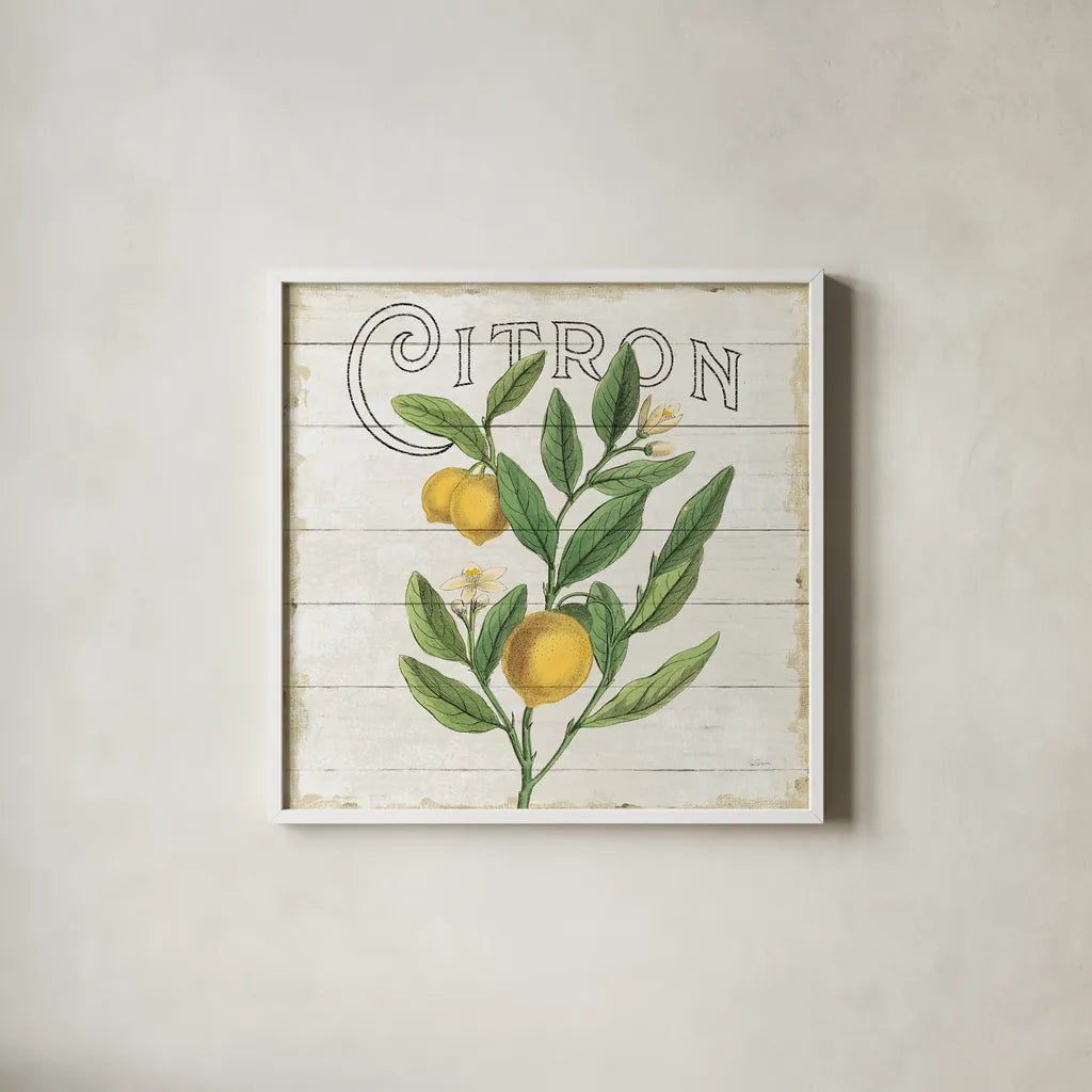 Classic Citrus V Shiplap Sq by Sue Schlabach. Shown in a crisp white glass frame for a clean and minimalist style. Available as an archival giclee rolled canvas, fine art paper, or poster print. SKU 71112a.
