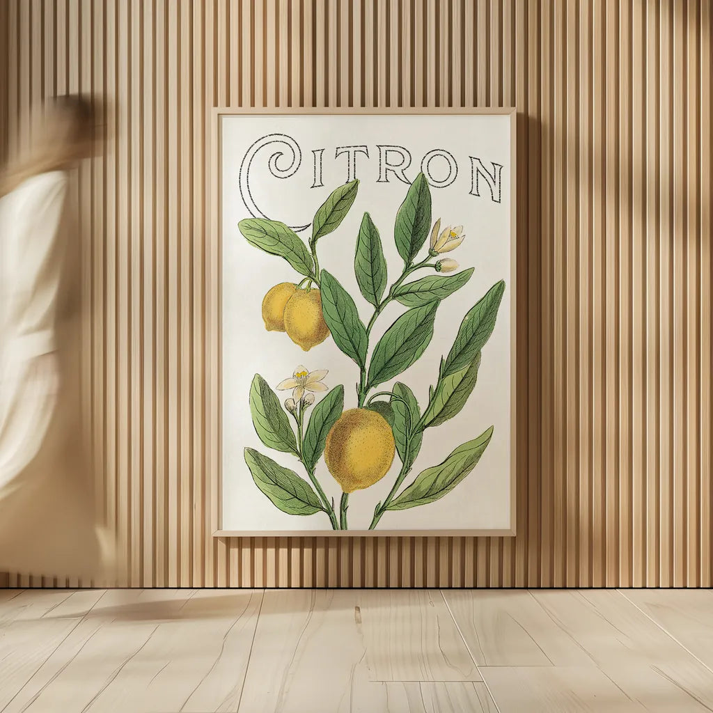 Classic Citrus V v2 by Sue Schlabach. shown as over sized large wall art. Available as an archival giclee rolled canvas, fine art paper, or poster print. SKU 34054h.