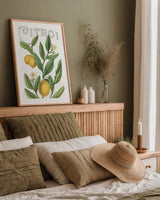 Classic Citrus V v2 by Sue Schlabach. shown as a paper print in a natural frame. Available as a archival giclee rolled canvas, fine art paper, or poster print. SKU 34054h.