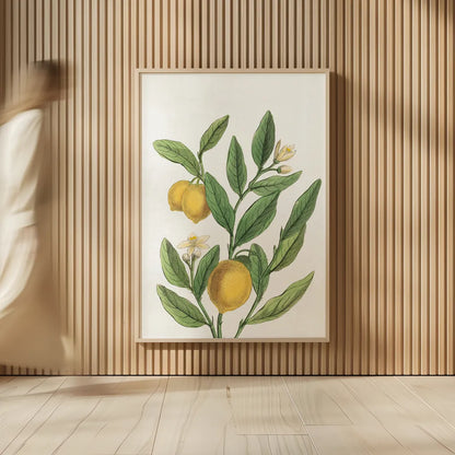 Classic Citrus V v2 No Words by Sue Schlabach. shown as over sized large wall art. Available as an archival giclee rolled canvas, fine art paper, or poster print. SKU 88132h.