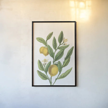 Classic Citrus V v2 No Words by Sue Schlabach. shown as a paper print in a black flame. Available as a archival giclee rolled canvas, fine art paper, or poster print. SKU 88132h.