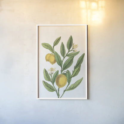 Classic Citrus V v2 No Words by Sue Schlabach. shown as a paper print in a white frame. Available as a archival giclee rolled canvas, fine art paper, or poster print. SKU 88132h.