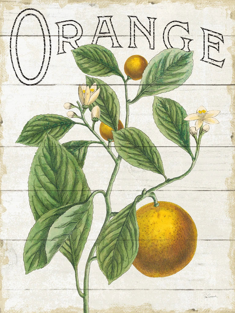 Classic Citrus VI Shiplap by Sue Schlabach