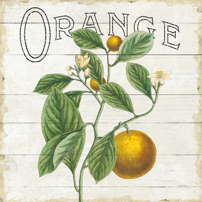 Classic Citrus VI Shiplap Sq by Sue Schlabach. SKU 71113a. Archival Giclee Fine art print for wall decor.