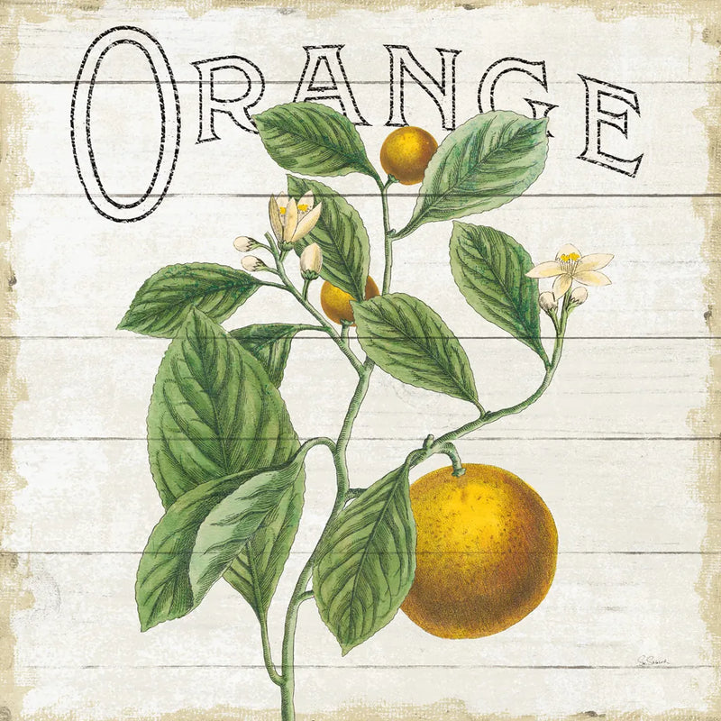 Classic Citrus VI Shiplap Sq by Sue Schlabach. SKU 71113a. Archival Giclee Fine art print for wall decor.