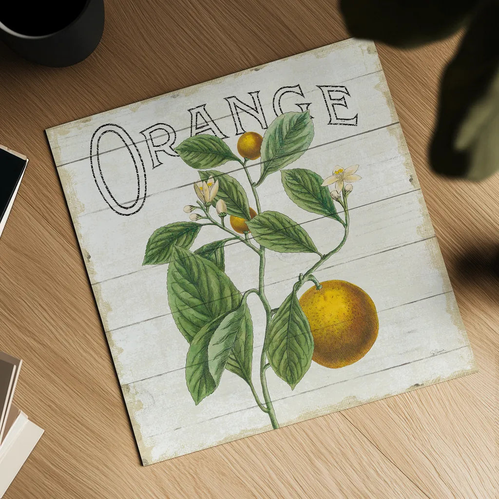 Classic Citrus VI Shiplap Sq by Sue Schlabach. Shown as a detailed flat fine art print, highlighting archival giclee quality. Available as an archival giclee rolled canvas, fine art paper, or poster print. SKU 71113a.