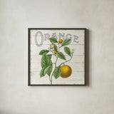 Classic Citrus VI Shiplap Sq by Sue Schlabach. Shown in a sleek black glass frame for a contemporary gallery look. Available as an archival giclee rolled canvas, fine art paper, or poster print. SKU 71113a.
