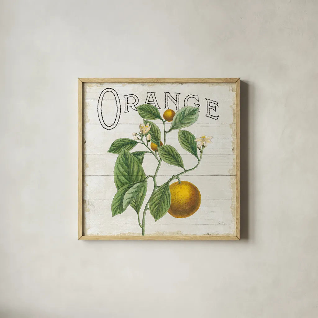 Classic Citrus VI Shiplap Sq by Sue Schlabach. Shown in a natural wood glass frame for a timeless modern aesthetic. Available as an archival giclee rolled canvas, fine art paper, or poster print. SKU 71113a.