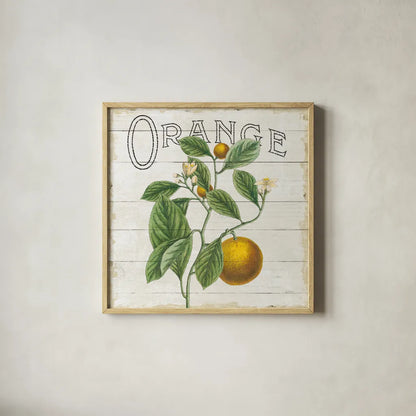 Classic Citrus VI Shiplap Sq by Sue Schlabach. Shown in a natural wood glass frame for a timeless modern aesthetic. Available as an archival giclee rolled canvas, fine art paper, or poster print. SKU 71113a.