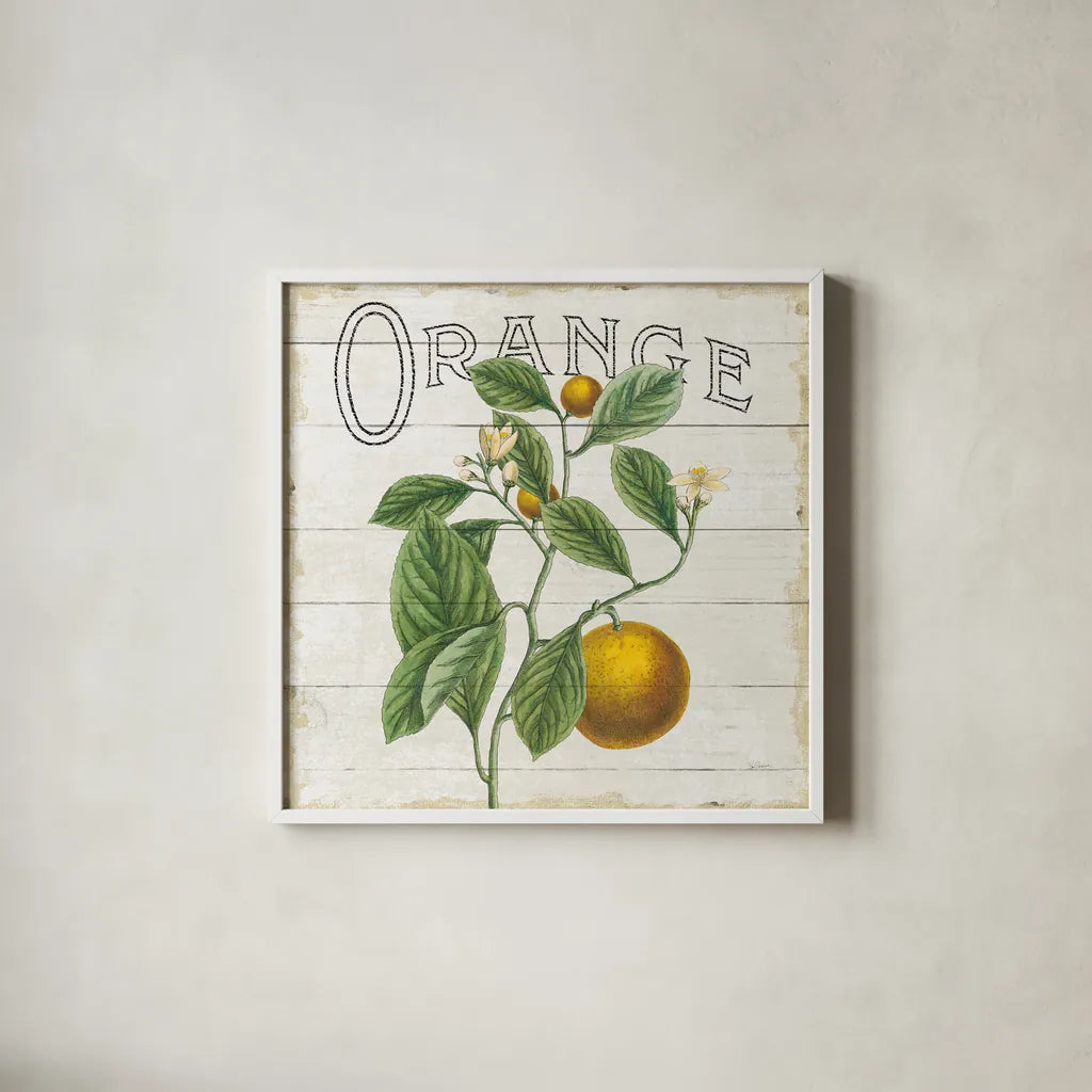 Classic Citrus VI Shiplap Sq by Sue Schlabach. Shown in a crisp white glass frame for a clean and minimalist style. Available as an archival giclee rolled canvas, fine art paper, or poster print. SKU 71113a.
