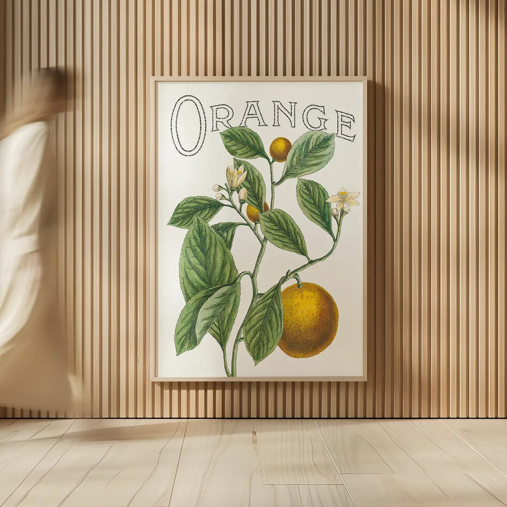Classic Citrus VI v2 by Sue Schlabach. shown as over sized large wall art. Available as an archival giclee rolled canvas, fine art paper, or poster print. SKU 34055h.