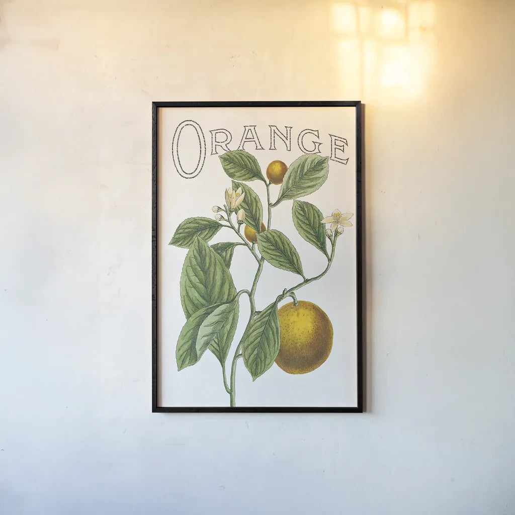 Classic Citrus VI v2 by Sue Schlabach. shown as a paper print in a black flame. Available as a archival giclee rolled canvas, fine art paper, or poster print. SKU 34055h.