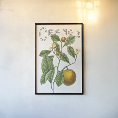 Classic Citrus VI v2 by Sue Schlabach. shown as a paper print in a black flame. Available as a archival giclee rolled canvas, fine art paper, or poster print. SKU 34055h.