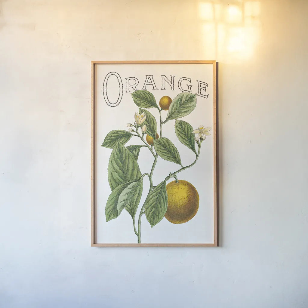 Classic Citrus VI v2 by Sue Schlabach. shown as a paper print in a natural frame. Available as a archival giclee rolled canvas, fine art paper, or poster print. SKU 34055h.