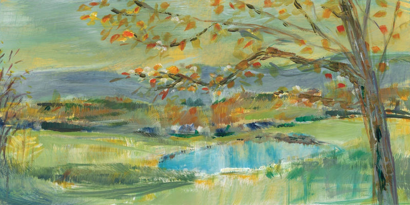 Cloudland View by Sue Schlabach