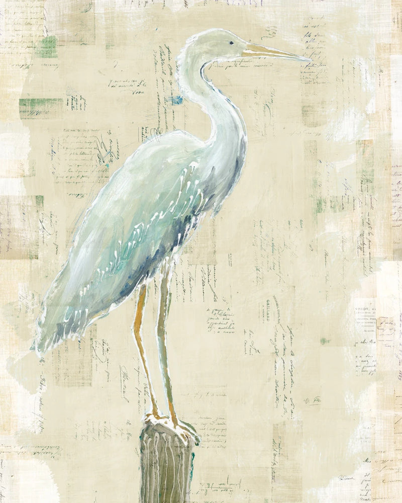 Coastal Egret I v2 no Aqua by Sue Schlabach