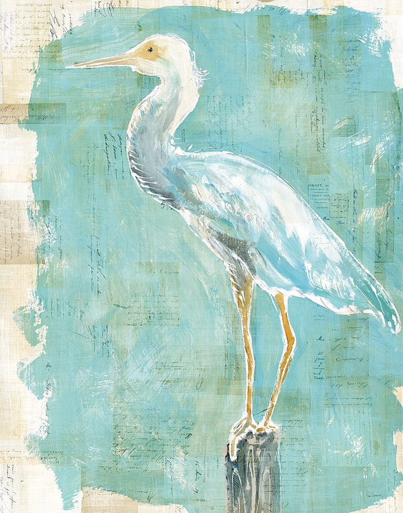 Coastal Egret II by Sue Schlabach