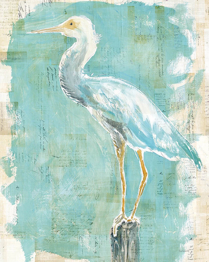 Coastal Egret II v2 by Sue Schlabach