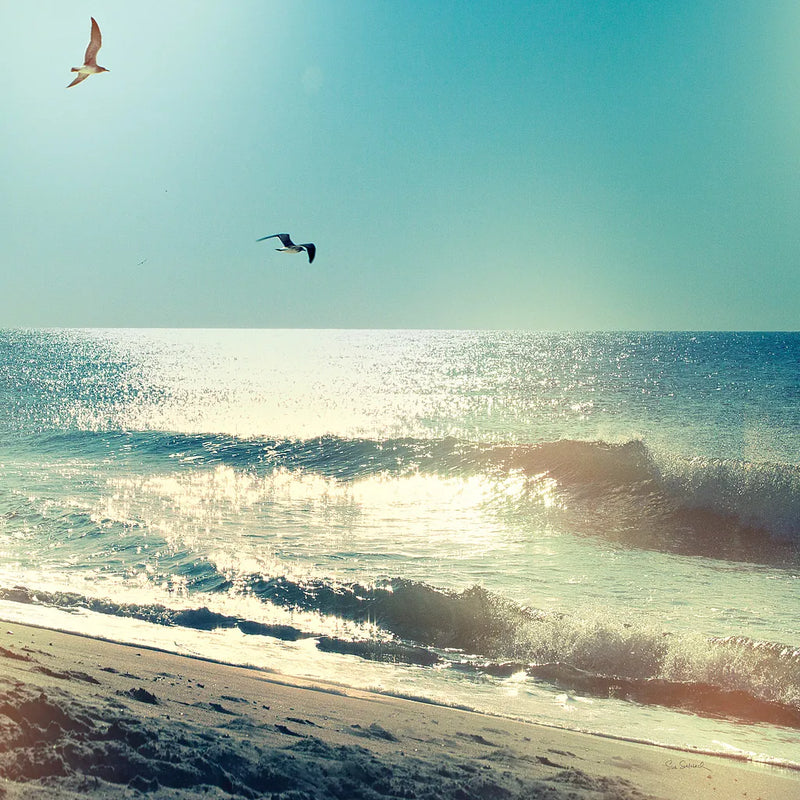 Coastline Waves no Word by Sue Schlabach. SKU 33117a. Archival Giclee Fine art print for wall decor.