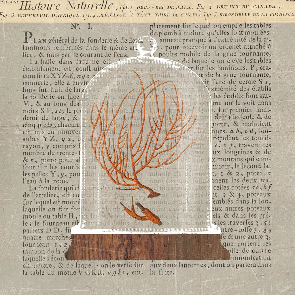 Coral Under Glass Newsprint II by Sue Schlabach. SKU 44732a. Archival Giclee Fine art print for wall decor.