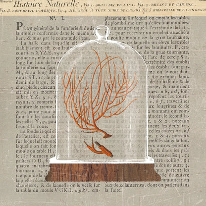 Coral Under Glass Newsprint II by Sue Schlabach. SKU 44732a. Archival Giclee Fine art print for wall decor.