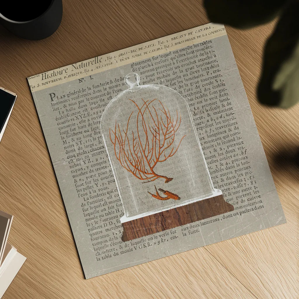 Coral Under Glass Newsprint II by Sue Schlabach. Shown as a detailed flat fine art print, highlighting archival giclee quality. Available as an archival giclee rolled canvas, fine art paper, or poster print. SKU 44732a.