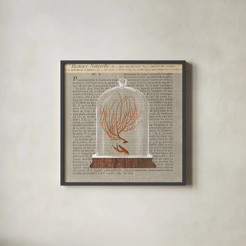 Coral Under Glass Newsprint II by Sue Schlabach. Shown in a sleek black glass frame for a contemporary gallery look. Available as an archival giclee rolled canvas, fine art paper, or poster print. SKU 44732a.