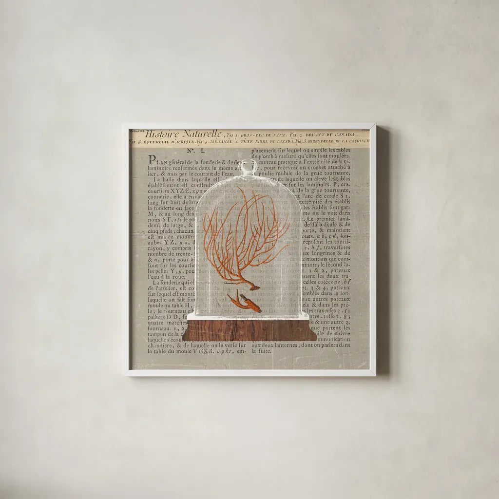 Coral Under Glass Newsprint II by Sue Schlabach. Shown in a crisp white glass frame for a clean and minimalist style. Available as an archival giclee rolled canvas, fine art paper, or poster print. SKU 44732a.