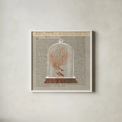 Coral Under Glass Newsprint II by Sue Schlabach. Shown in a crisp white glass frame for a clean and minimalist style. Available as an archival giclee rolled canvas, fine art paper, or poster print. SKU 44732a.