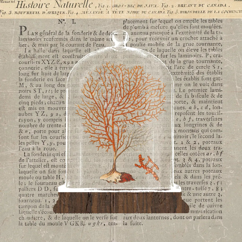 Coral Under Glass Newsprint III by Sue Schlabach. SKU 44733a. Archival Giclee Fine art print for wall decor.