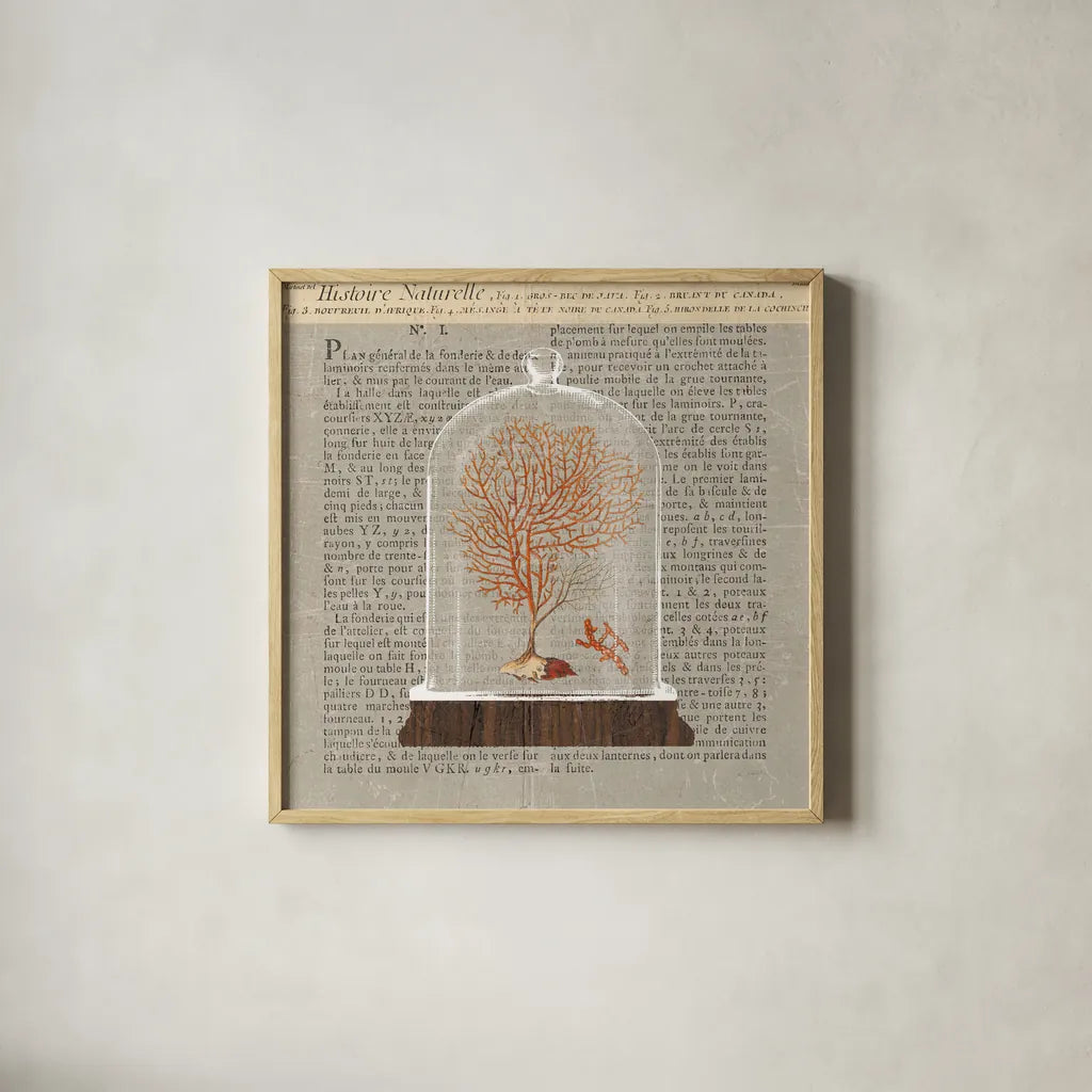Coral Under Glass Newsprint III by Sue Schlabach. Shown in a natural wood glass frame for a timeless modern aesthetic. Available as an archival giclee rolled canvas, fine art paper, or poster print. SKU 44733a.