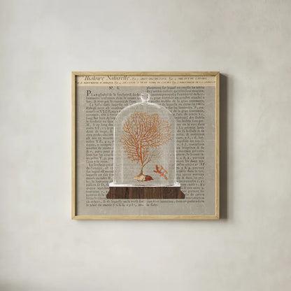 Coral Under Glass Newsprint III by Sue Schlabach. Shown in a natural wood glass frame for a timeless modern aesthetic. Available as an archival giclee rolled canvas, fine art paper, or poster print. SKU 44733a.
