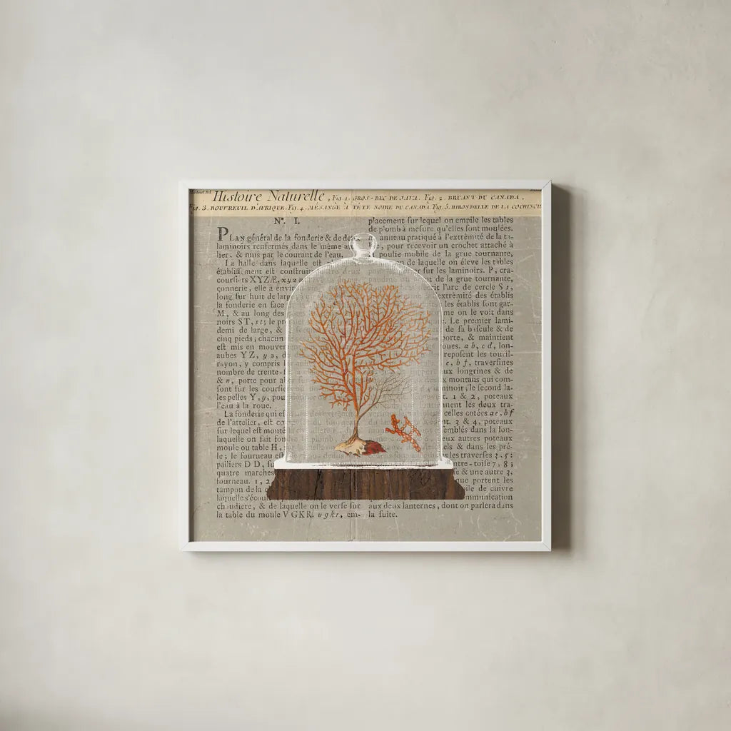 Coral Under Glass Newsprint III by Sue Schlabach. Shown in a crisp white glass frame for a clean and minimalist style. Available as an archival giclee rolled canvas, fine art paper, or poster print. SKU 44733a.