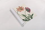 Cosmos Botany No Words by Sue Schlabach. shown as a rolled paper print. Available as archival giclee rolled canvas, fine art paper, or poster print. SKU 47518h.