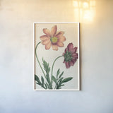 Cosmos Botany No Words by Sue Schlabach. shown as a paper print in a white frame. Available as a archival giclee rolled canvas, fine art paper, or poster print. SKU 47518h.