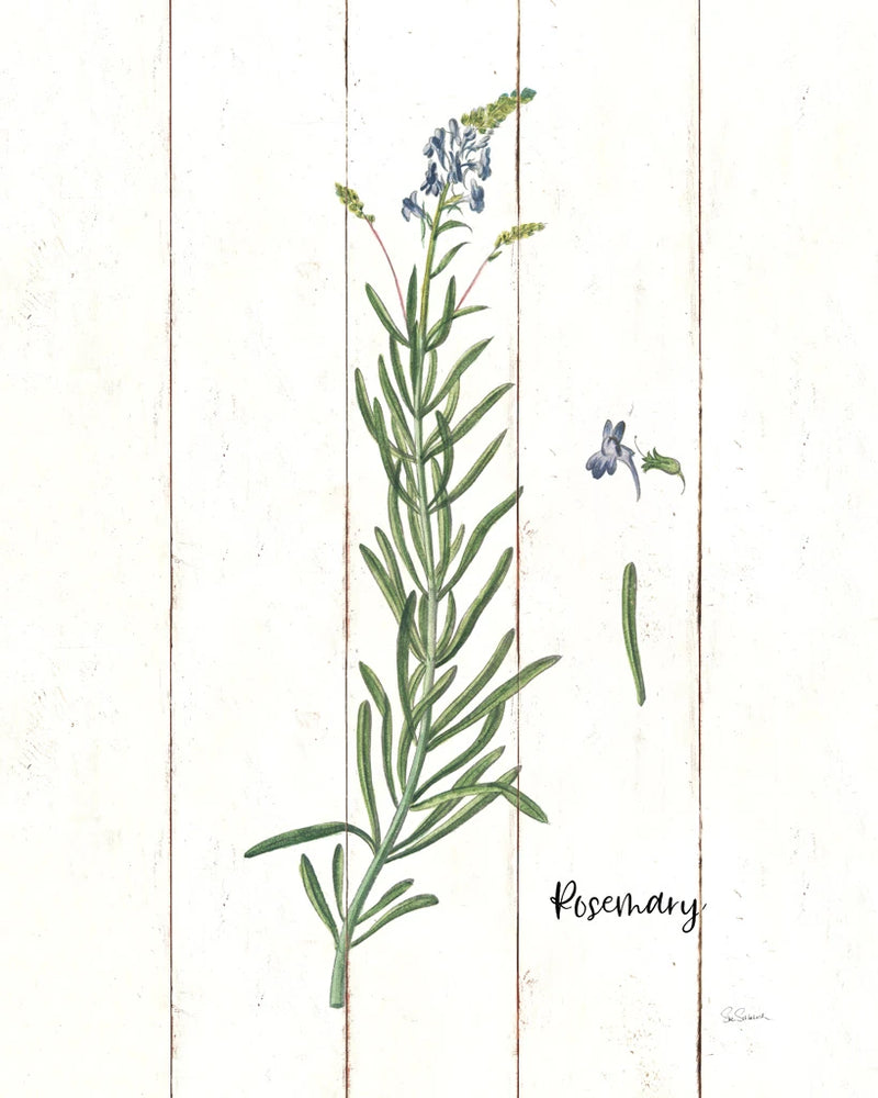 Cottage Herbs I by Sue Schlabach