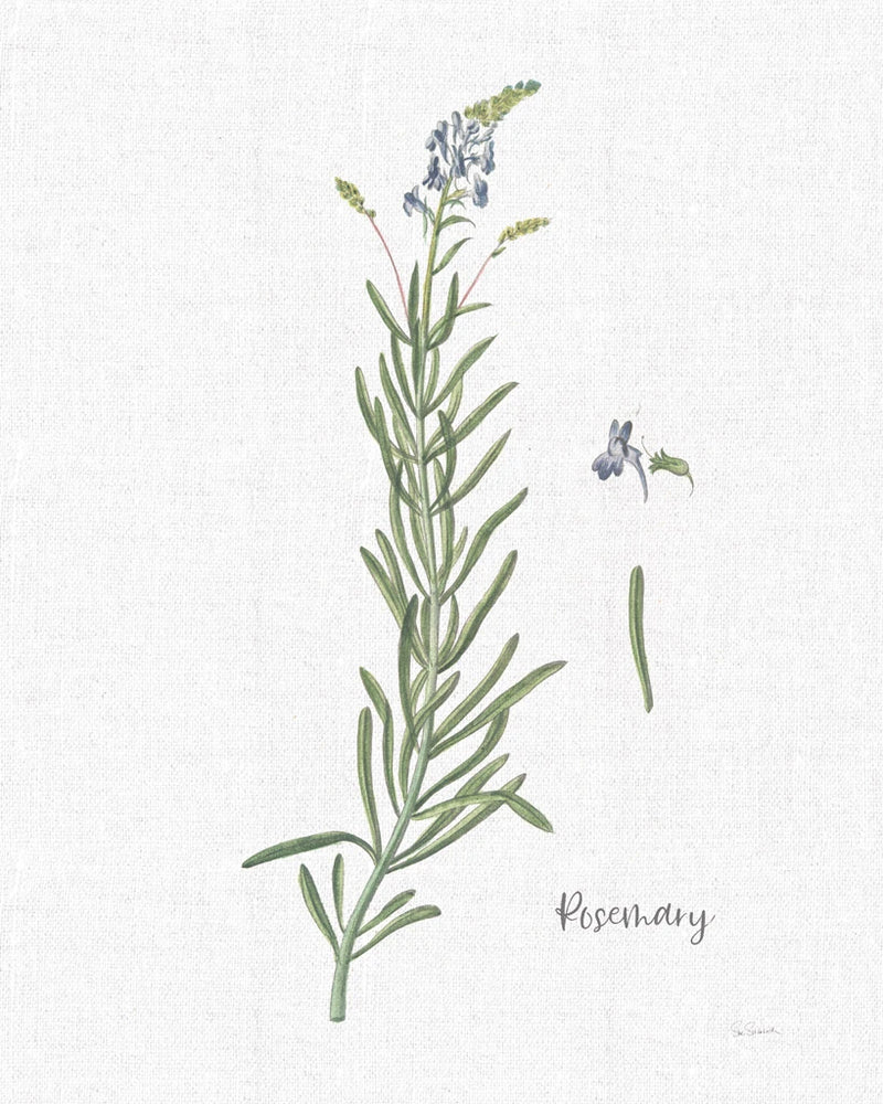 Cottage Herbs I Linen by Sue Schlabach