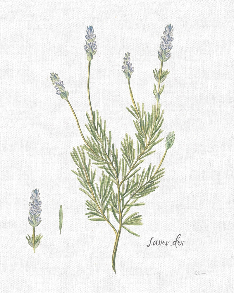 Cottage Herbs II Linen by Sue Schlabach