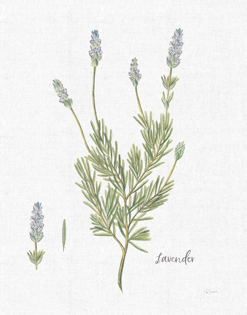 Cottage Herbs II Linen by Sue Schlabach