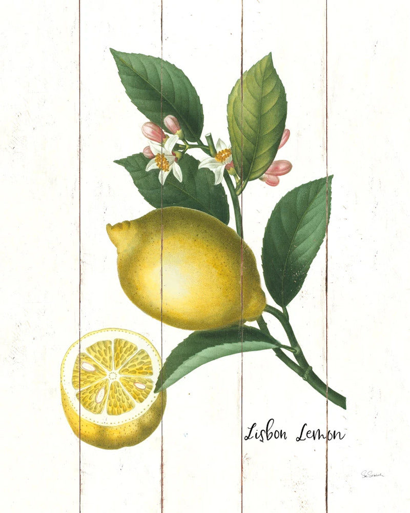 Cottage Lemon I by Sue Schlabach