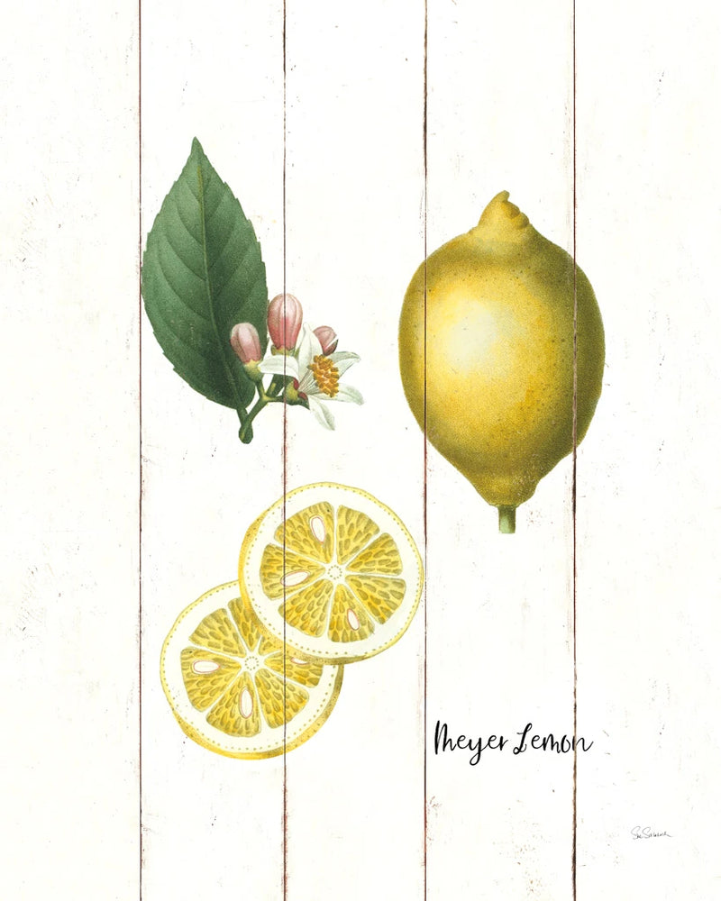 Cottage Lemon II by Sue Schlabach