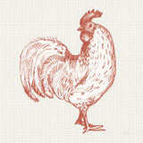 Cottage Rooster III Red by Sue Schlabach. SKU 77418a. Archival Giclee Fine art print for wall decor.