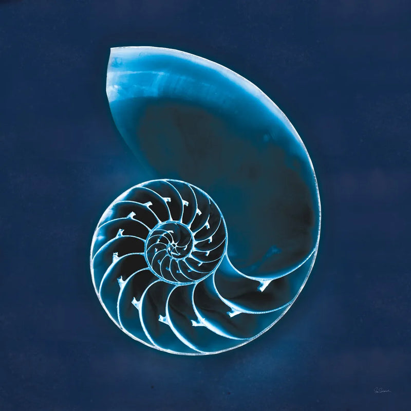 Cyanotype Sea II by Sue Schlabach. SKU 32595a. Archival Giclee Fine art print for wall decor.
