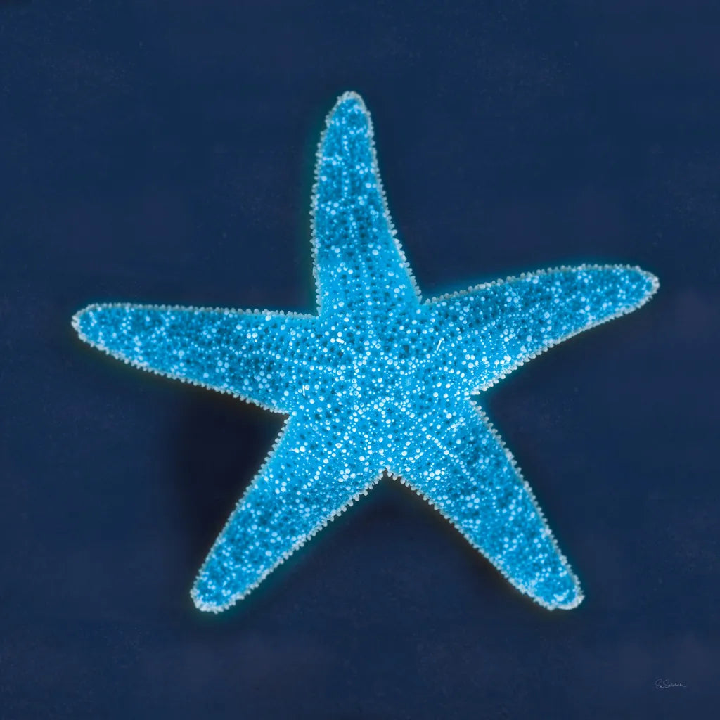 Cyanotype Sea III by Sue Schlabach. SKU 32596a. Archival Giclee Fine art print for wall decor.